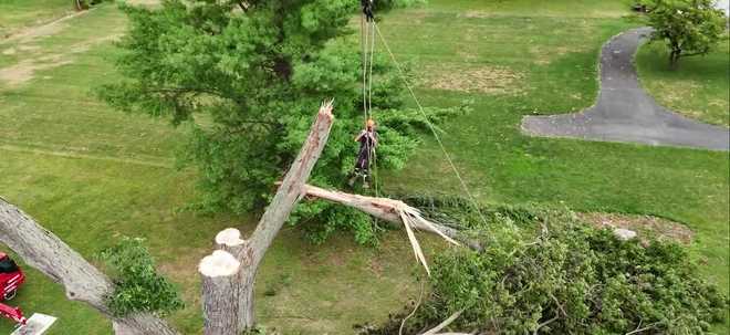 severe thunderstorms swept through southeastern pennsylvania this past weekend, bringing rare 70-mph wind gusts and leaving residents and meteorologists stunned.