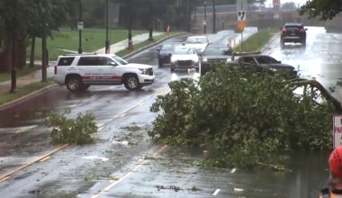 This image taken from video shows a broken tree branch on a street, Sunday, July 12, 2026 after a line of severe, short thunderstorms passed through the city the day before in Philadelphia. (WPVI-TV/6ABC via AP)