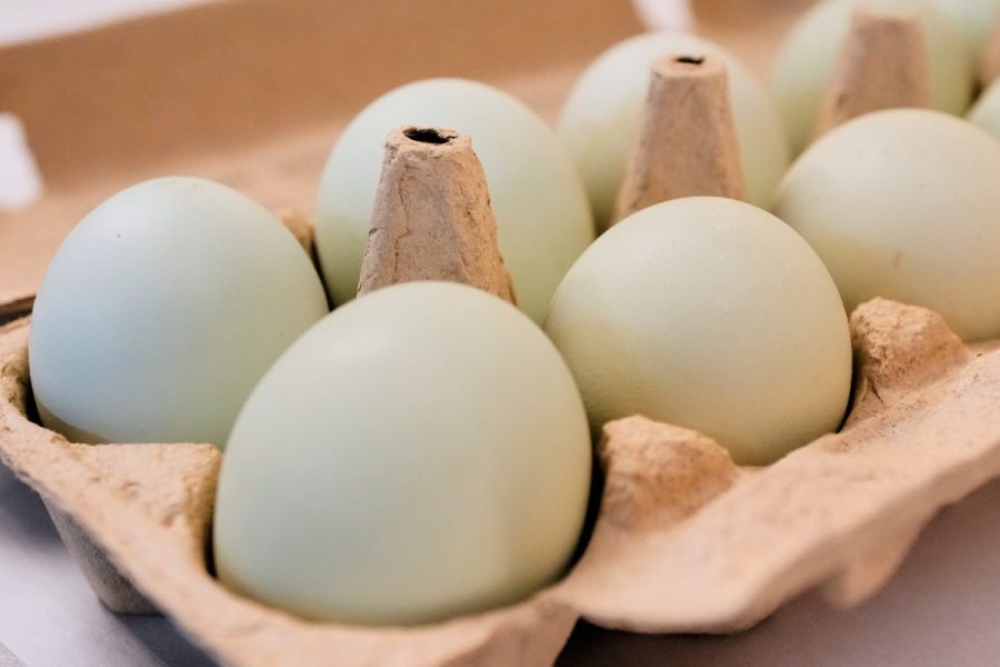 3.4M eggs headed to Pennsylvania charities after price gouging scheme found