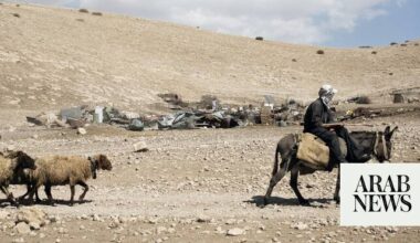 Israeli forces arrest Palestinian herder attacked by settlers east of Bethlehem