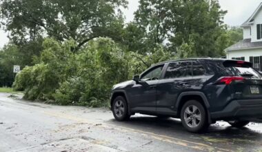 Lower Merion Township declares state of emergency after microburst Saturday – NBC10 Philadelphia