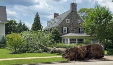 Lower Merion Twp. still cleaning up on Sunday after microburst causes damage – NBC10 Philadelphia