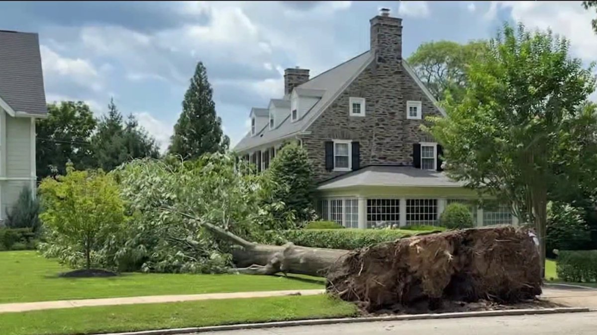 Lower Merion Twp. still cleaning up on Sunday after microburst causes damage – NBC10 Philadelphia