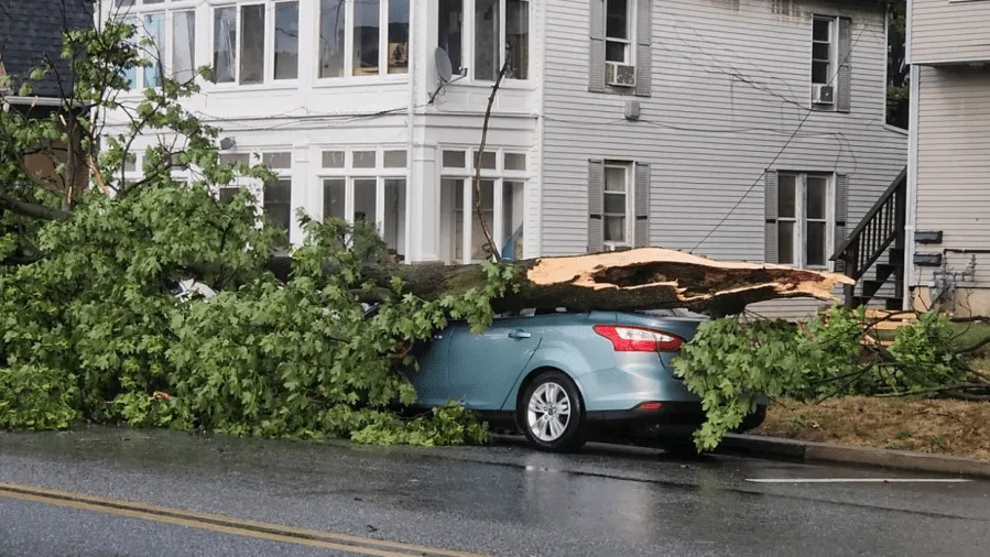 Carmine Scicchitano / abc27 News — Lemoyne, Cumberland County.