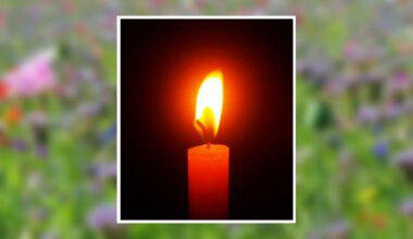 Rachel Stevens Obituary Jul 2, 2026