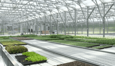 Minority Community Investment Coalition receives grant for expansion, ‘Grow Erie’