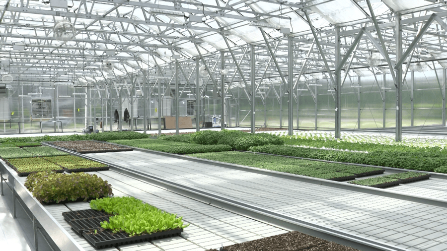 Minority Community Investment Coalition receives grant for expansion, ‘Grow Erie’