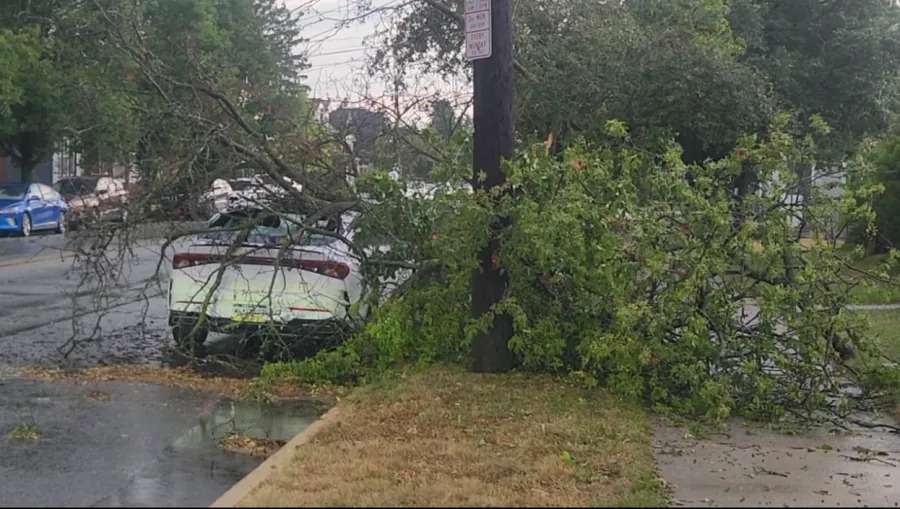 Carmine Scicchitano / abc27 News — Lemoyne, Cumberland County.