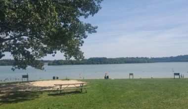 Authorities advise residents to watch for blue-green algae in Blue Marsh Lake  | Northern Berks County