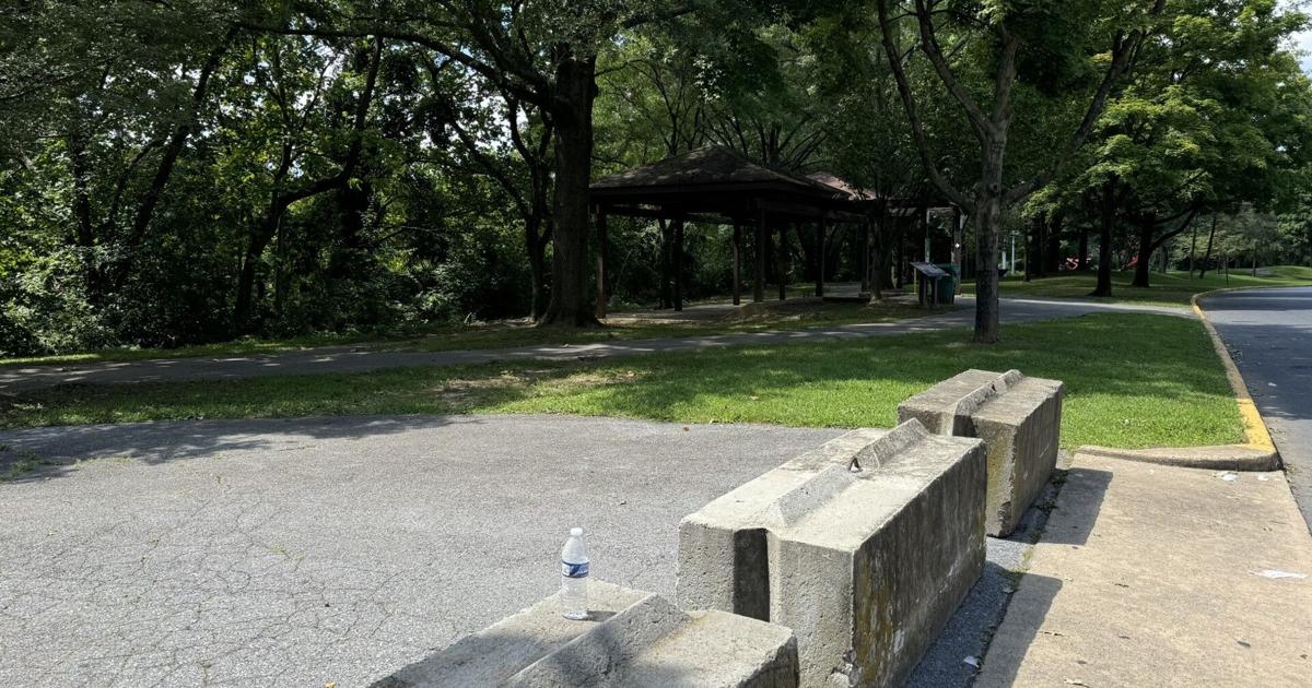5th annual RIVERZILLA Community Day, park clean-up to take place Saturday | Reading Area