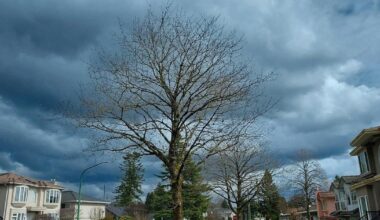 Severe storms impact 64 out of 67 counties over holiday weekend | Pennsylvania