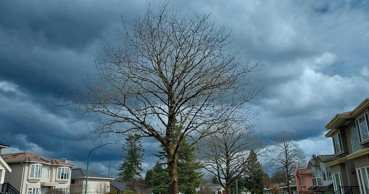 Severe storms impact 64 out of 67 counties over holiday weekend | Pennsylvania