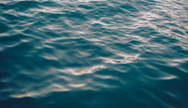 Man Dies from Drowning in Erie Canal Near Newark