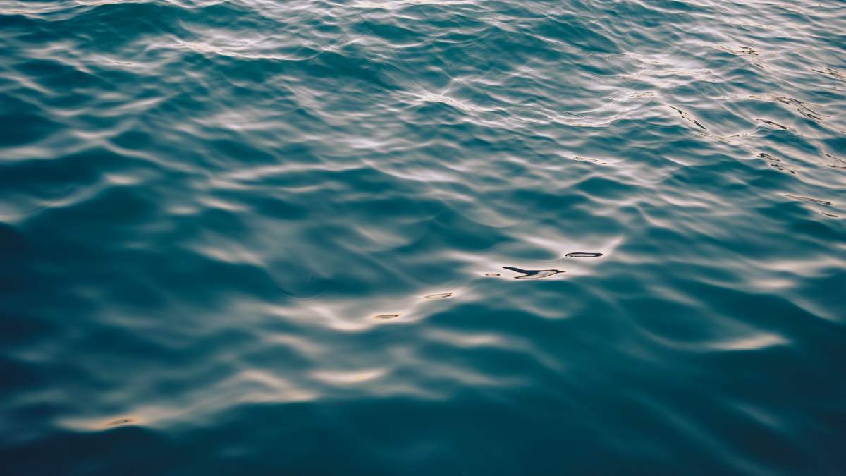 Man Dies from Drowning in Erie Canal Near Newark