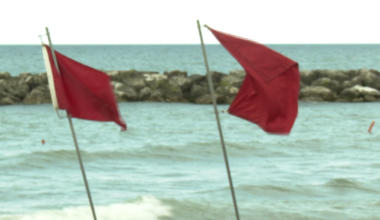 Beach 7 Restricted Swimming Due to High Levels of E. coli | News