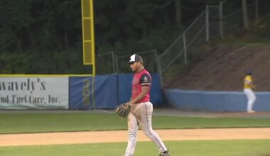 Reading's Parades fans six in gem against West Lawn | Sports