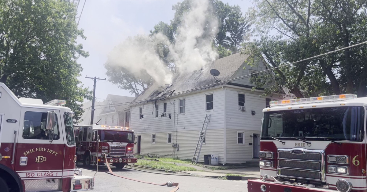 Residential Fire on Perry Street in Erie Claims Two Pets | News