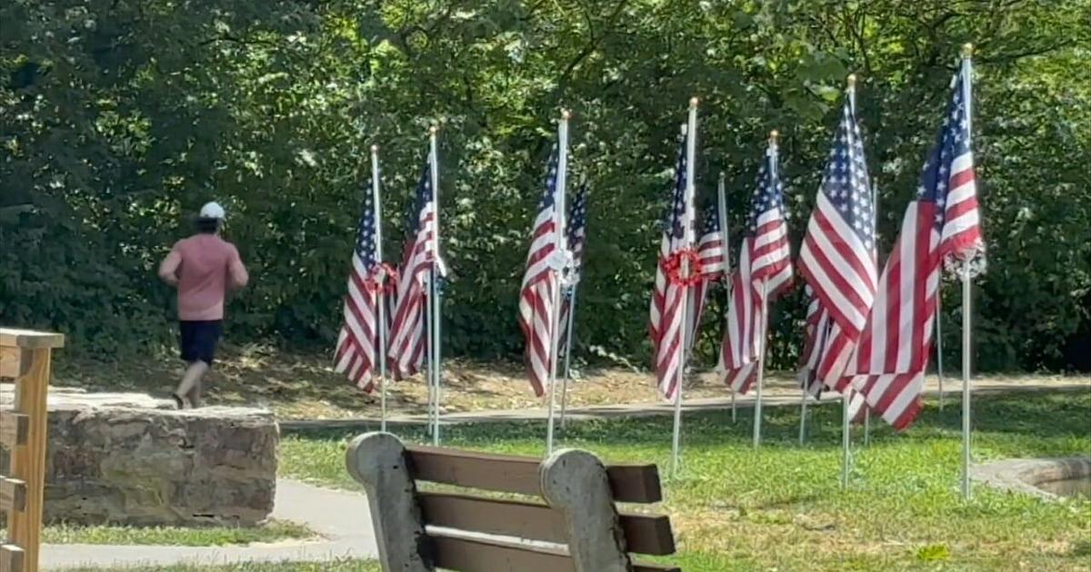 A hot milestone: Wyomissing gears up for Fourth of July and America 250 amid high temps | Reading Area