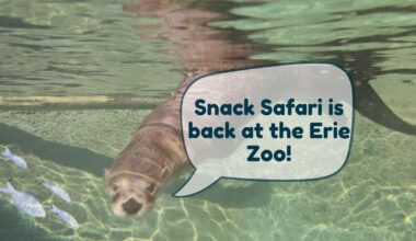 Snack Safari Returns to Erie Zoo with Tasty New Twist | News