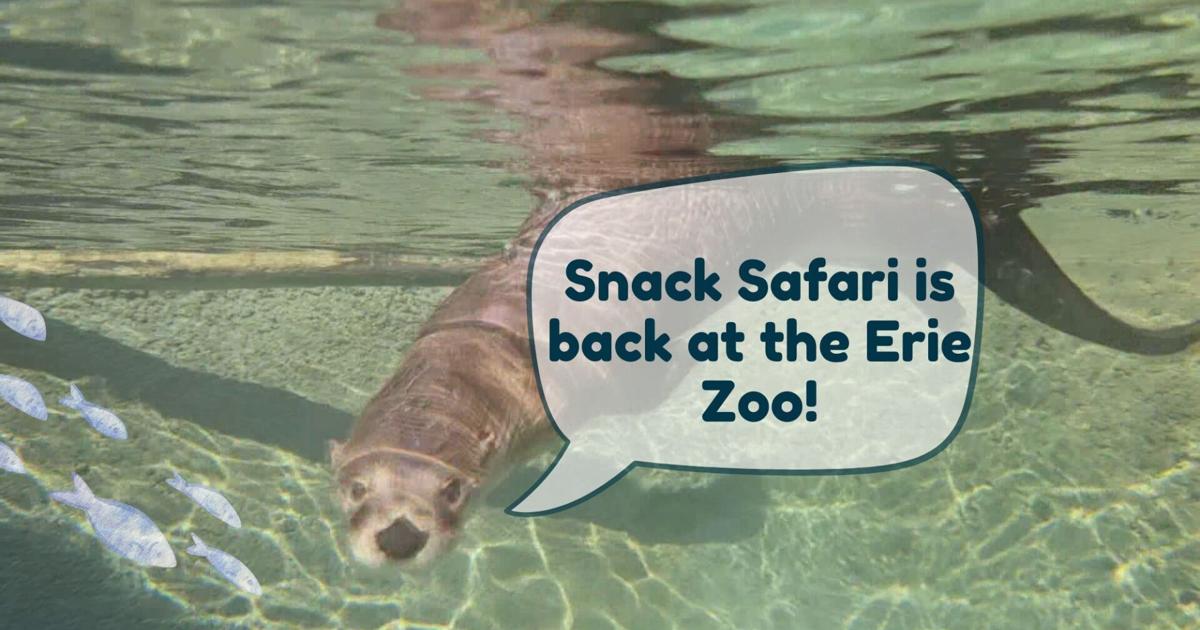 Snack Safari Returns to Erie Zoo with Tasty New Twist | News