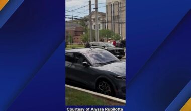 Duck Family Gets Police Escort Through Downtown Erie | State