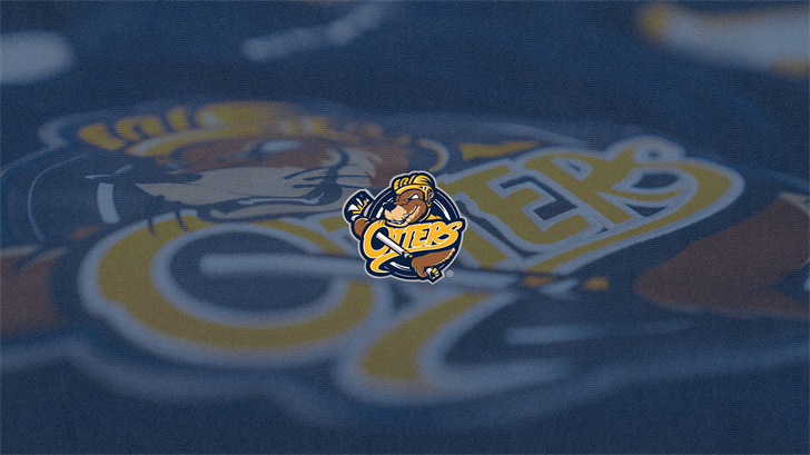 Erie Otters Set Five-Game Preseason Schedule for 26-27 | Sports