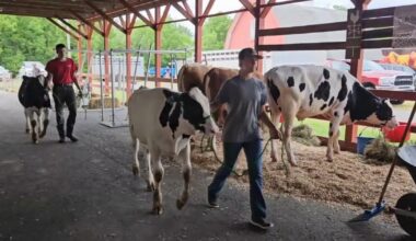 Berks County Fair kicks off Wednesday | Berks Regional News