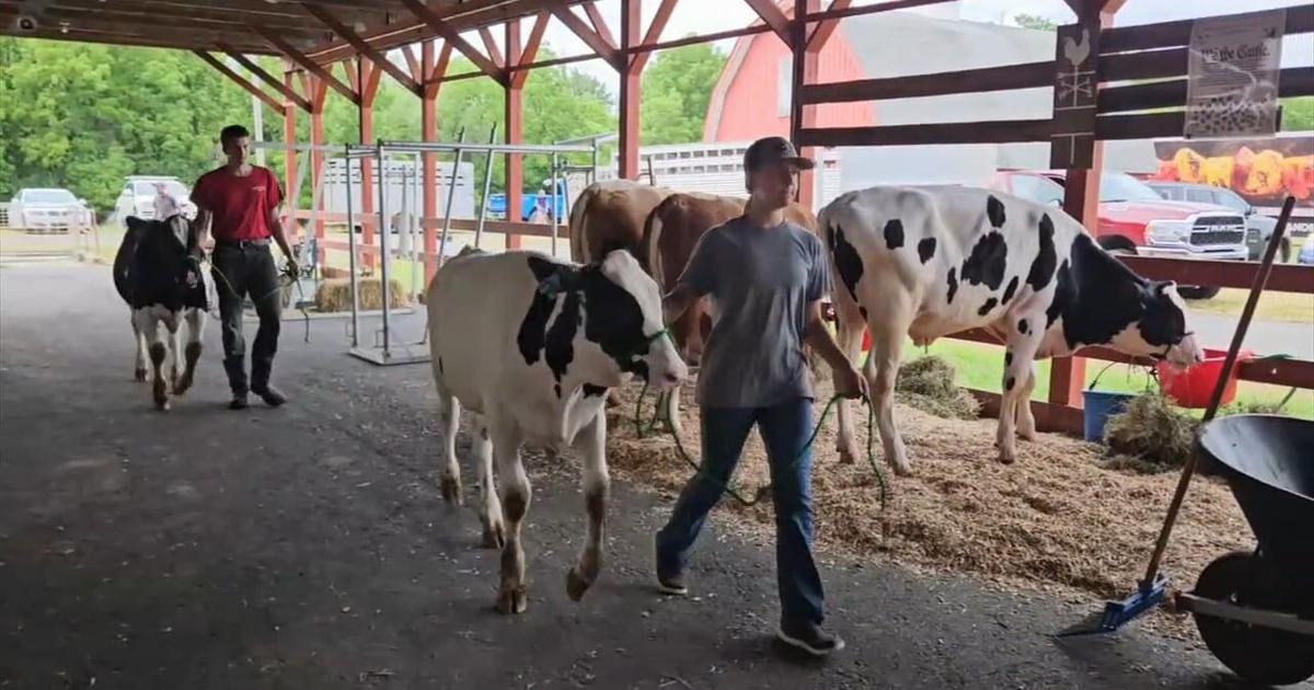 Berks County Fair kicks off Wednesday | Berks Regional News