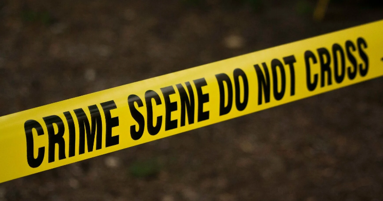 Deceased Dog Found in Tote on Property in East Erie | News