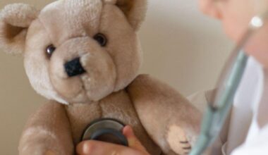 expERIEnce Children’s Museum to Host Teddy Bear Clinic | News