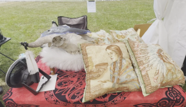 Erie County Viking Festival Brings Norse Heritage to Union City | News