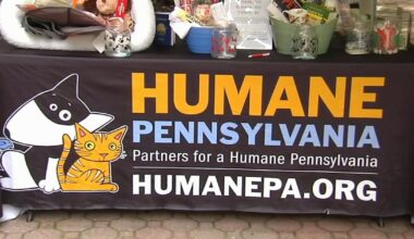 Make a Difference Monday: Pints for Pups returns to Bern Township this Saturday | Make A Difference Monday