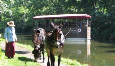 Canals: The Brief Building Boom That Reshaped Rural America | Antiques, Collectibles & Historical Stories