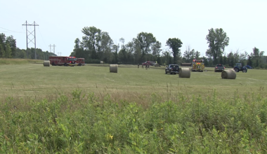 Brush Fire Reported on Oliver Road in Edinboro | News