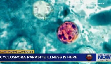 Health Officials Warn of Cyclospora Cases as Suspected Foodborne Illness Appears in Erie County | News