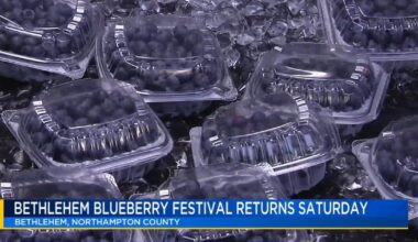 Food, fun, history: Bethlehem Blueberry Festival to offer tasty treats, historical activities | Bethlehem Area