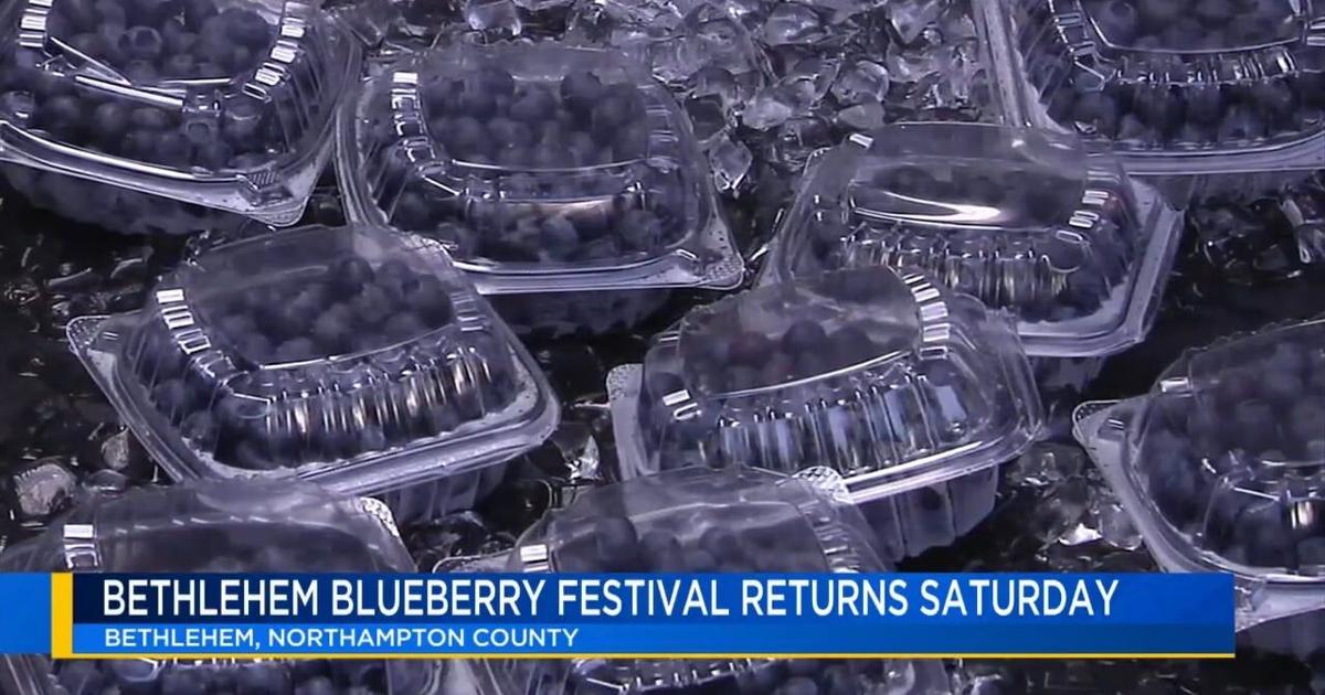 Food, fun, history: Bethlehem Blueberry Festival to offer tasty treats, historical activities | Bethlehem Area