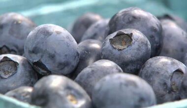 'Not all produce': Local produce sellers emphasize safety amidst Cyclospora concerns | Easton Area