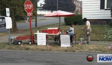 Erie Youngsters Making Smiles Through Lemonade Stand | Local News