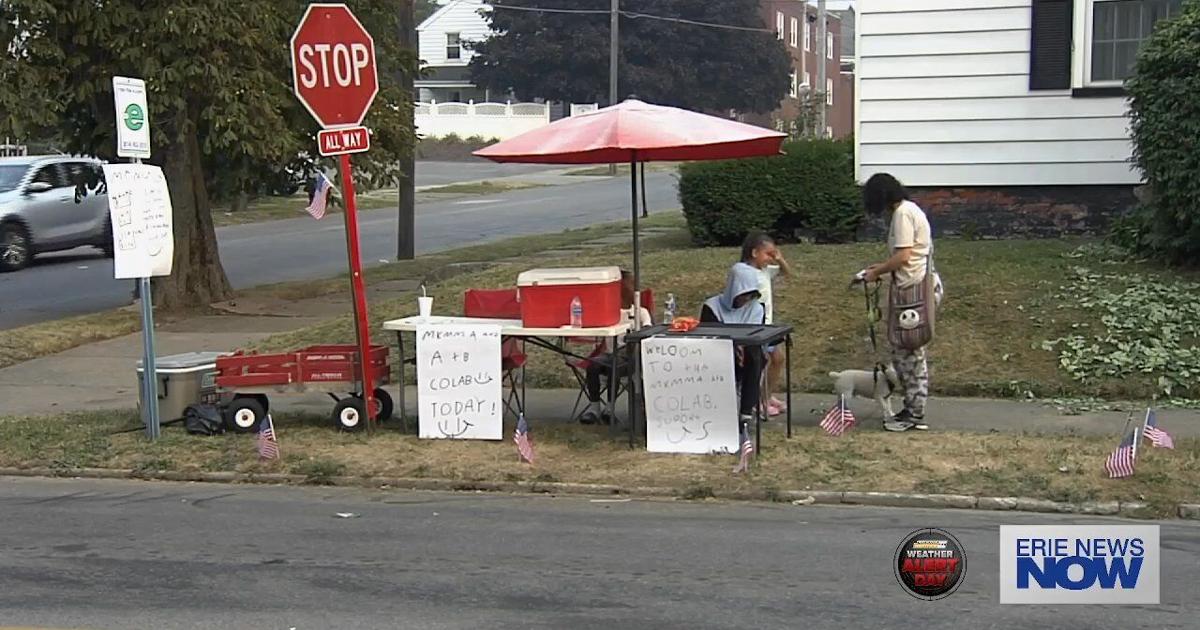 Erie Youngsters Making Smiles Through Lemonade Stand | Local News