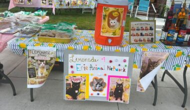Lemonade Stand Raises Money for Erie Animal Network | Local News