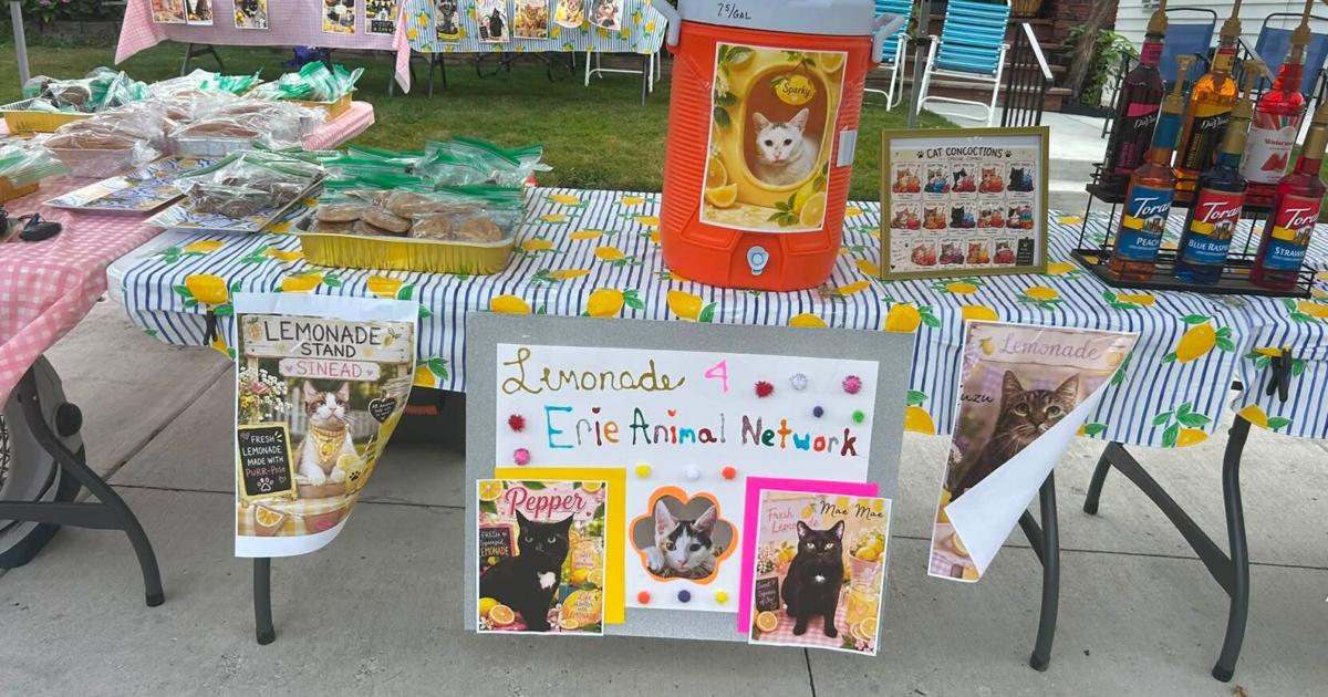 Lemonade Stand Raises Money for Erie Animal Network | Local News