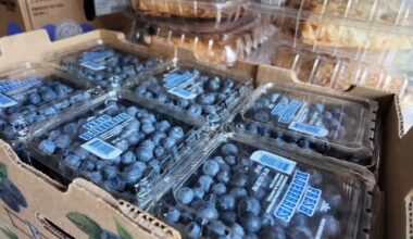 Historic Blueberry Festival draws dedicated crowd despite stormy weather | Bethlehem Area