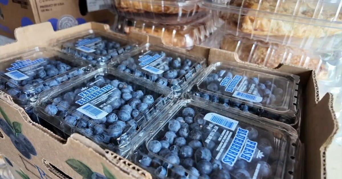 Historic Blueberry Festival draws dedicated crowd despite stormy weather | Bethlehem Area