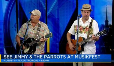 Music Monday: Jimmy and the Parrots | Music Monday