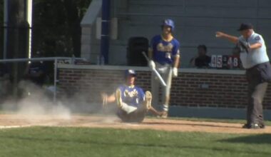 West Lawn defeated Lower Macungie 9-1 to earn finals berth | Sports