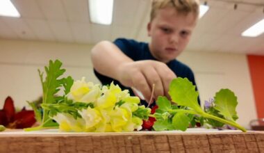 Berks County Master Gardeners and 4H Partner for first ever Garden Day camp | Northern Berks County