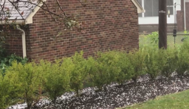 Summer storm causes hail and damaging winds in Erie area | News