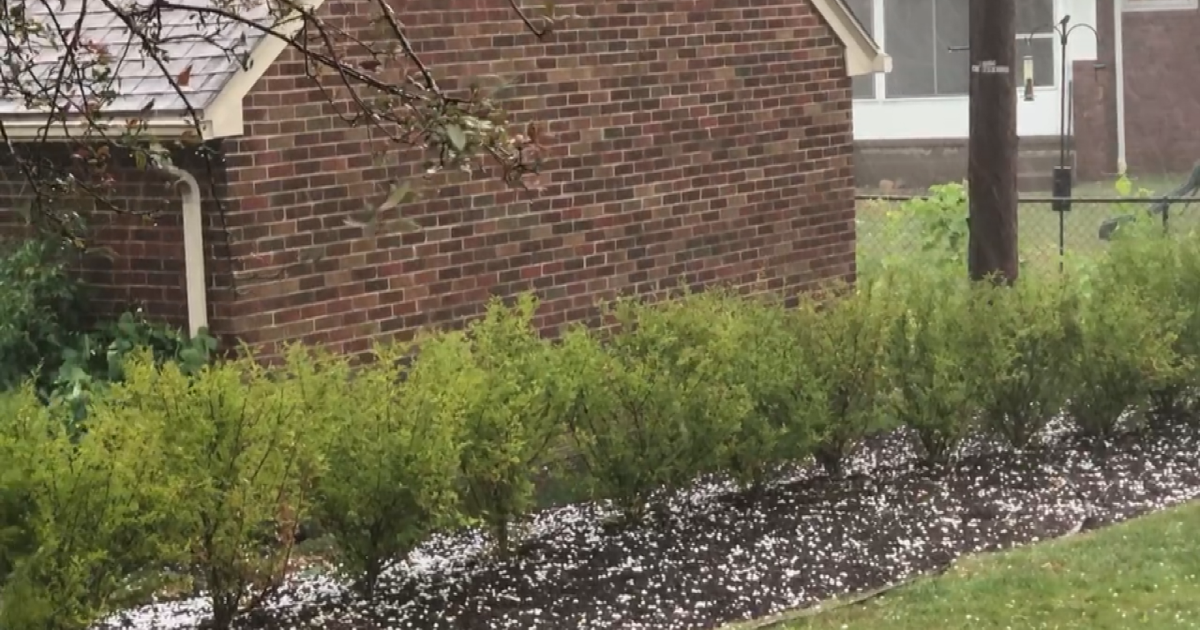 Summer storm causes hail and damaging winds in Erie area | News