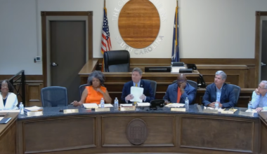 Laurens City Council unanimously approves first reading of noise and animal ordinance updates | News